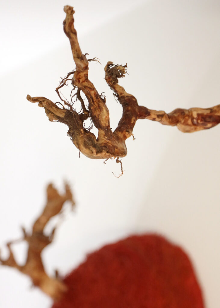 laura segura-exposicion-menfis gallery