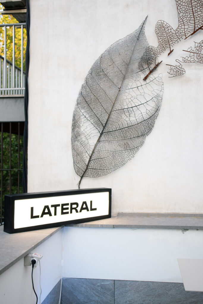 fango-lateral granada-menfis eventos-granada