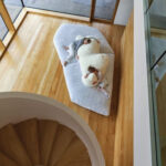Pack-Edra-Menfis Interior