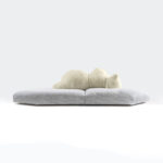 Pack-Edra-Menfis Interior